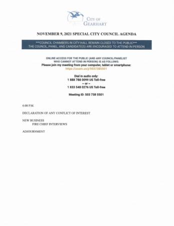document preview