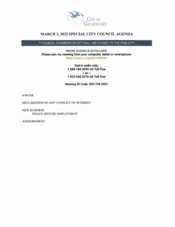 document preview