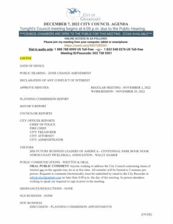 document preview
