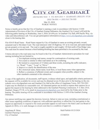 document preview
