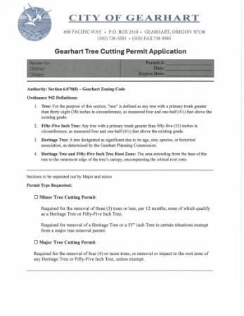 document preview