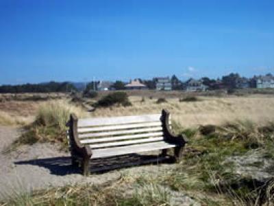 Bench and Sand dunes