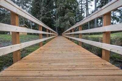 Ridge Path Bridge